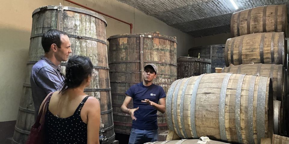 Essence of Tequila - Key Points