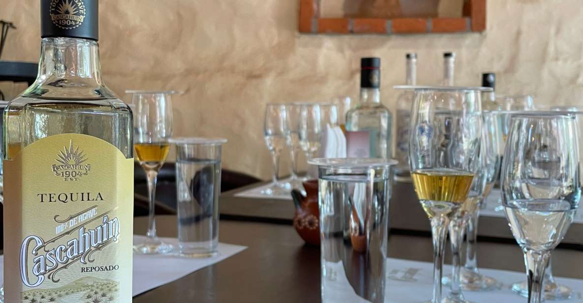 Essence of Tequila - Photo Stop at El Arenal