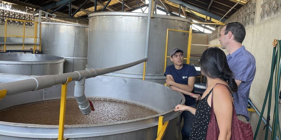 Essence of Tequila - Tasting of 6 Tequilas