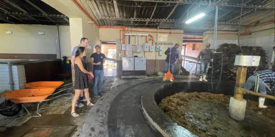 Essence of Tequila - Return to Guadalajara