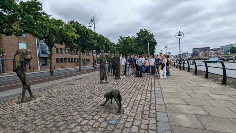 Essential Dublin Walking Tour - Preparation and Essentials