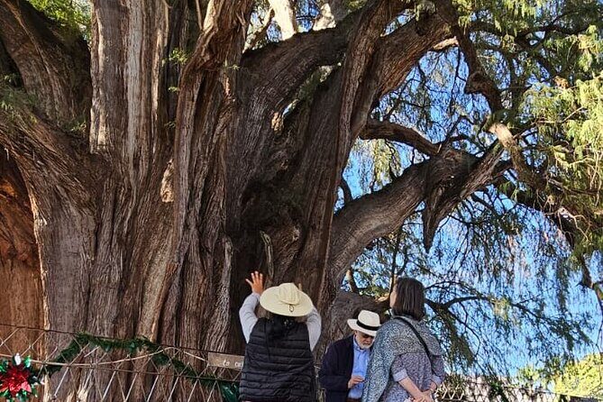 Essential Oaxaca:Tule, Tlacochahuaya, Teotitlán del Valle, Mezcal - Wrap-up