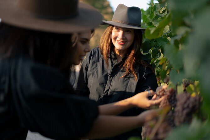 Estate to Plate Experience - Exploring the Itinerary: What to Expect