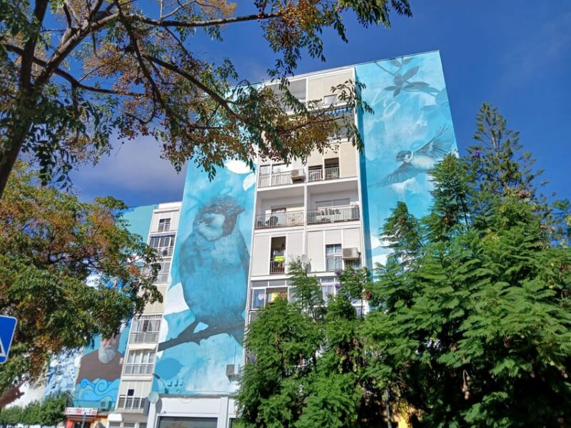 Estepona Art Murals and Tapas Walk With Local Guide - Itinerary and Highlights