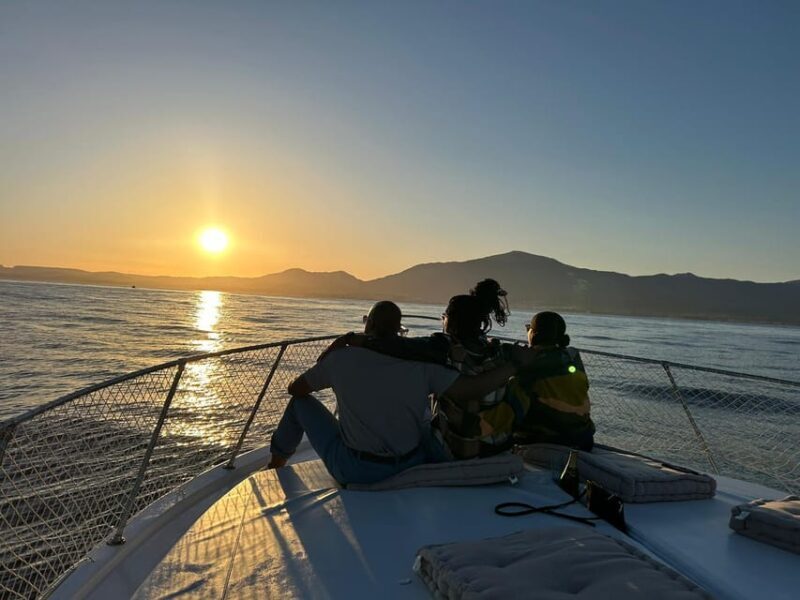 Estepona: Dolphin Searching Sunset Cruise with Drink & Snack - Key Points