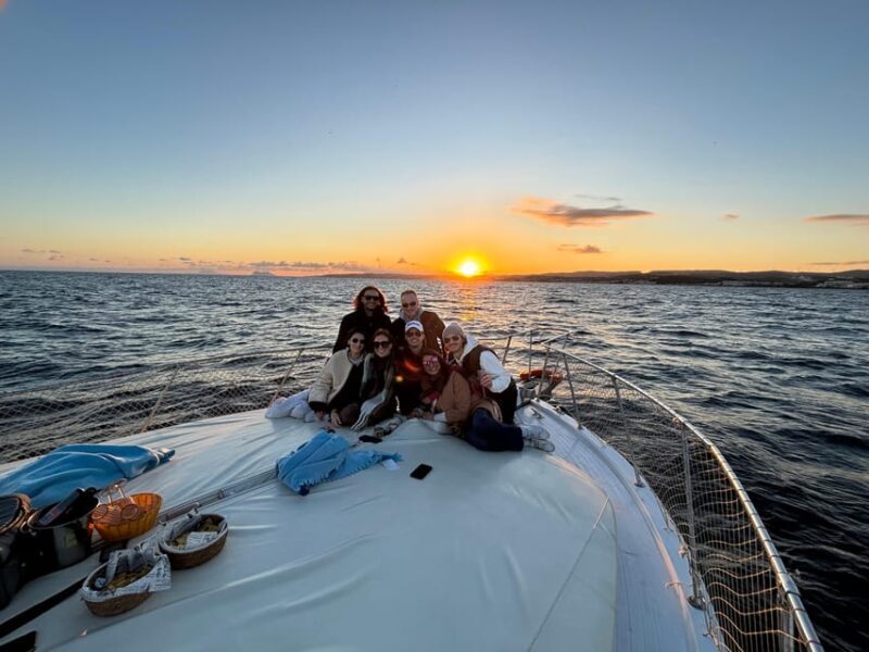 Estepona: Dolphins Searching Sea Cruise with Drink & Snacks - What Travelers Say