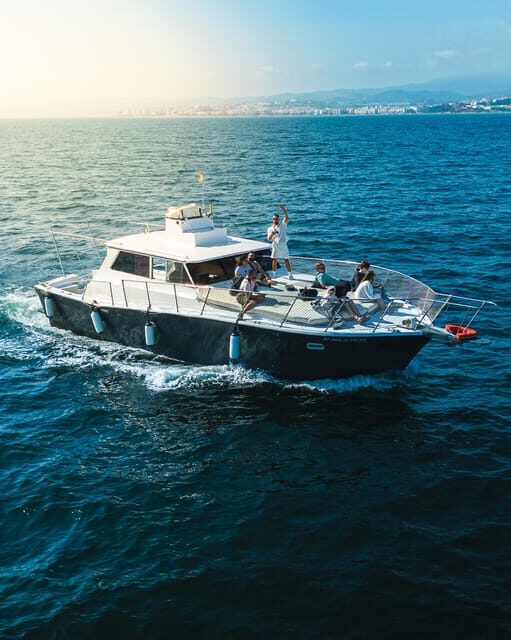 Estepona: Dolphins Searching Sea Cruise with Drink & Snacks - Who Would Enjoy This Tour?