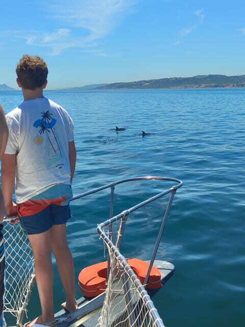 Estepona: Dolphins Searching Sea Cruise with Drink & Snacks - FAQs