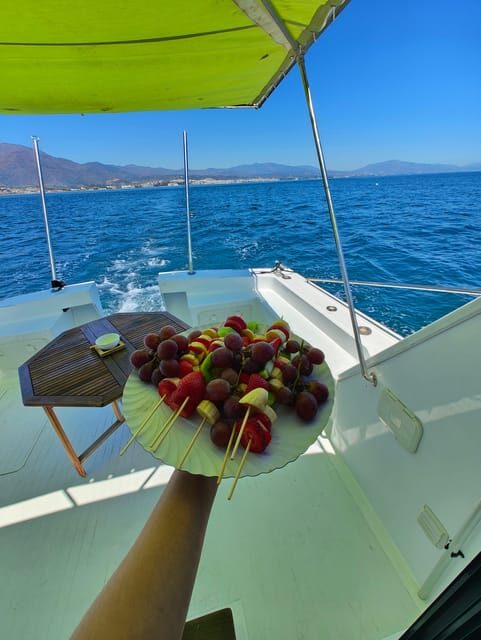 Estepona: Dolphins Searching Sea Cruise with Drink & Snacks - Final Thoughts