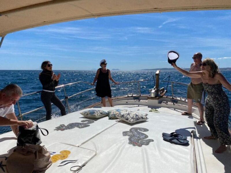 Estepona: Sea Cruise in Search of Dolphins/Drink & Snacks - Weather Conditions and Cancellation