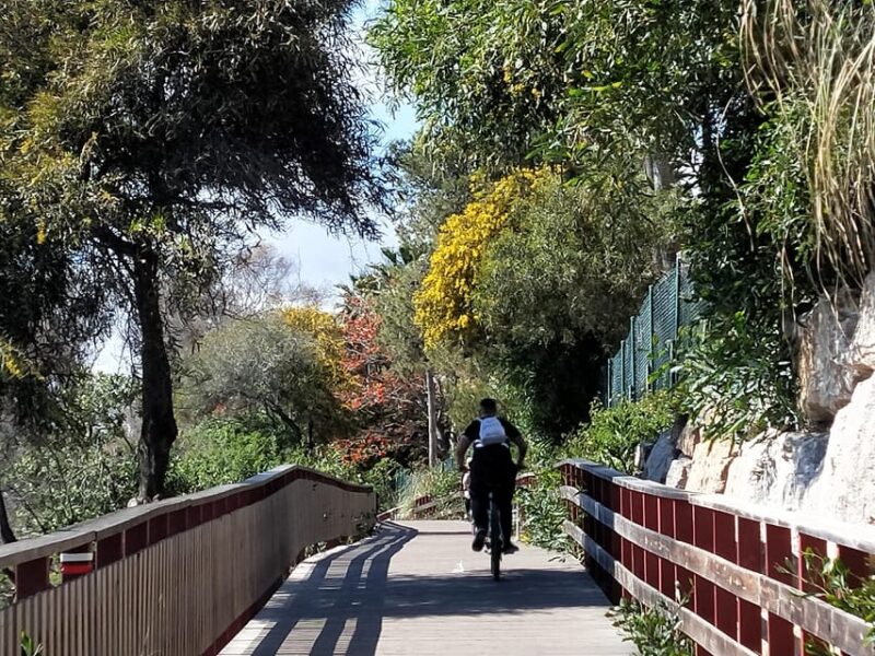 Estepona Walking Tour - City History, Culture & Gastronomy - Architectural Gems and Hidden Alleyways