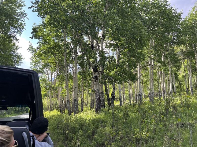 Estes Park: Rocky Mountain National Park Glass-Top Bus Tour - Final Word