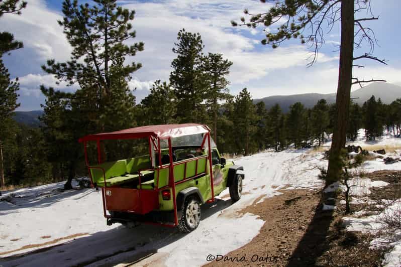 Estes Park: Rocky Mountain National Park Safari Tour - The Experience: What Makes It Stand Out