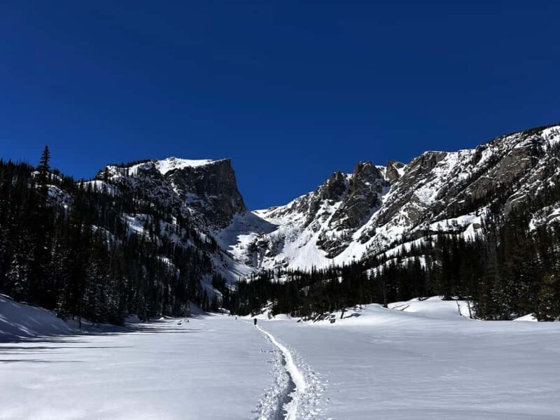 Estes Park: Rocky Mountain National Park Snowshoeing Tour - Key Points