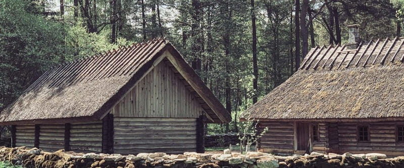 Estonian Open Air Museum  Cultural Experience from Tallinn - Who Will Love This Tour?