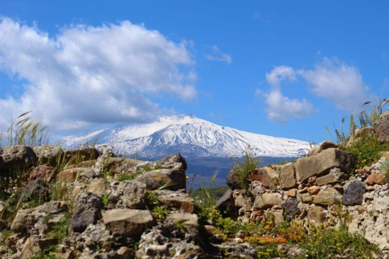 Etna and Silvestri Craters: Guided Tour and Liquor Tasting - An In-Depth Look at the Tour Experience