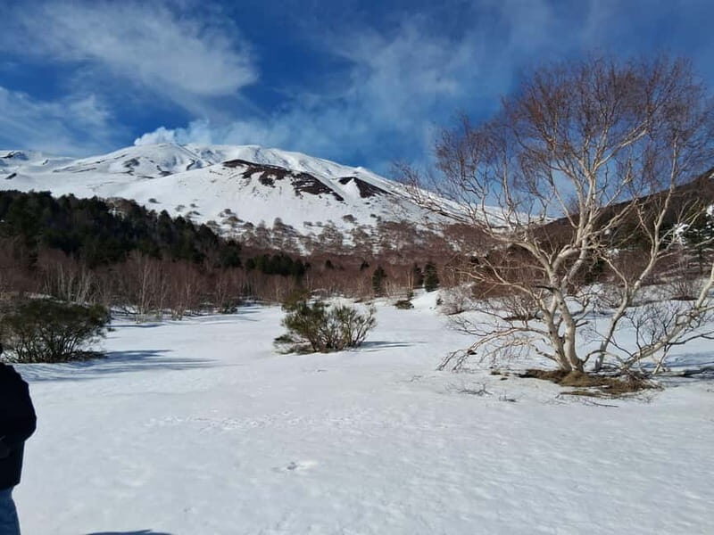 Etna and Wine: an experience among craters, volcanic landscapes, and Sicilian flavors. - Key Points