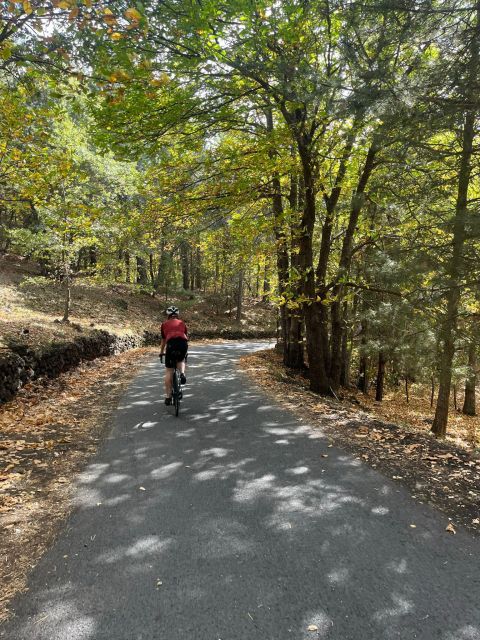 Etna Bike and Wine: Tasting & Sunset on Etna - Pickup and Drop-off
