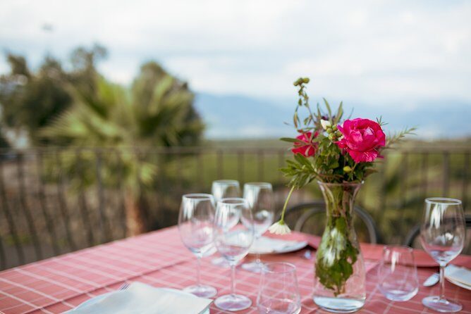 Etna Countryside Food & Wine Lovers Tour (Small Group or Private) - Overall Experience and Traveler Feedback