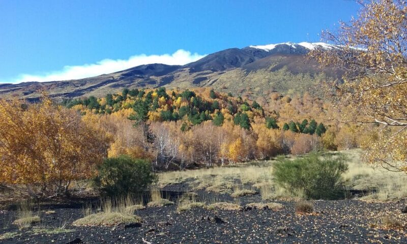 Etna excursion from Taormina and surroundings - Who is this tour best suited for?