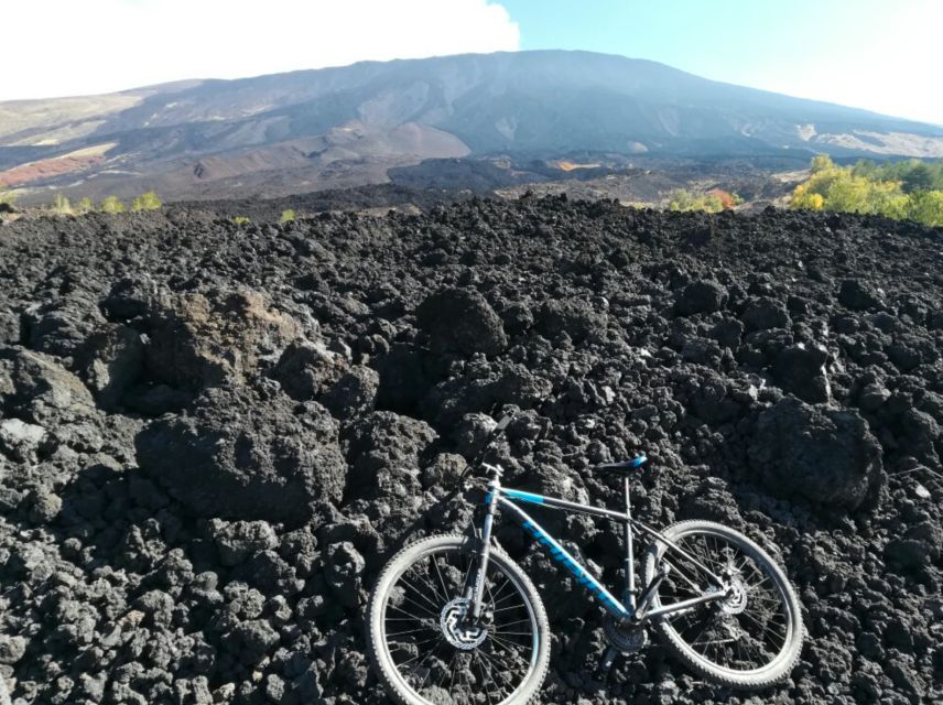 Etna: Half-Day Mt Etna Mountain Bike Tour - Discovering Etnas Flora and Fauna