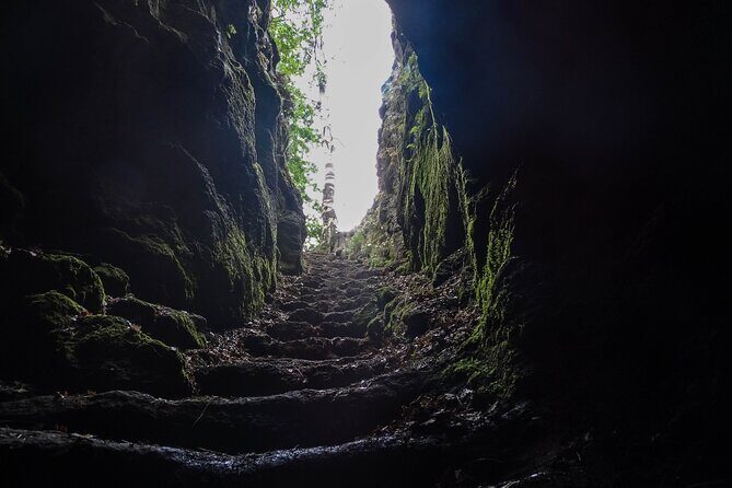 Etna Morning Tour, caves and craters - The Experience of the Guides