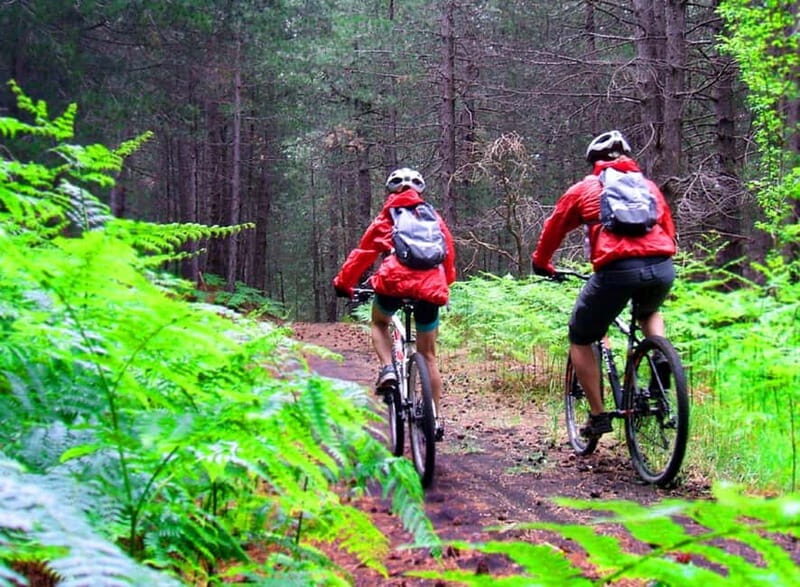 Etna: Mountain Bike or E-Bike Tour on Mount Etna - Exploring Mount Etna by Bike: What to Expect