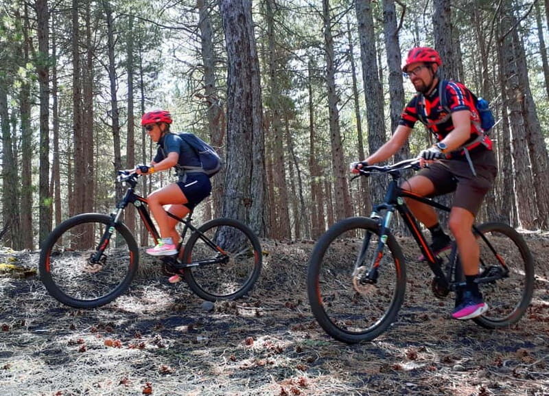 Etna: Mountain Bike or E-Bike Tour on Mount Etna - Cost and Value
