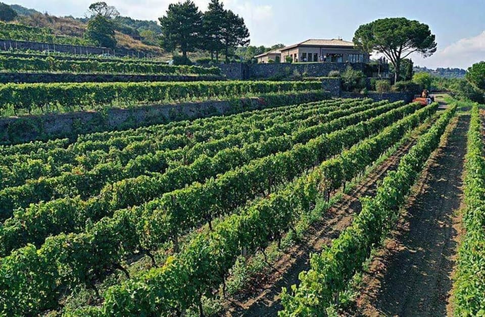 Etna North: Private Trekking and Wine tasting with light lunch - Exploring the Depths of Mount Etna and its Vineyards