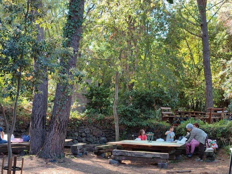 Etna & Sea: Pic Nic in Batia - The Setting: A Unique Green Location at the Foot of Etna