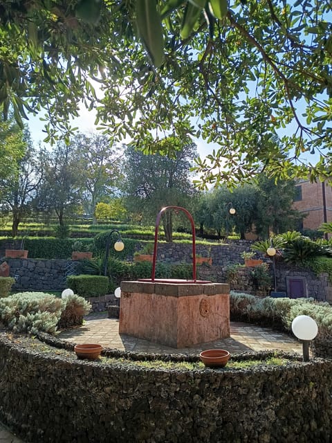 Etna south tour with light trekking wine tasting and lunch from Catania - Final Thoughts