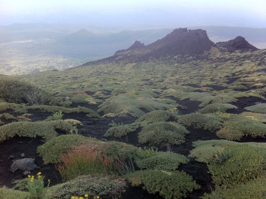Etna: Sunset Tour on the Volcano - Guided Tour Details