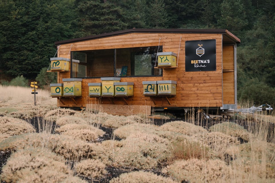 Etna: the Magic World of Bees Tour - Key Points