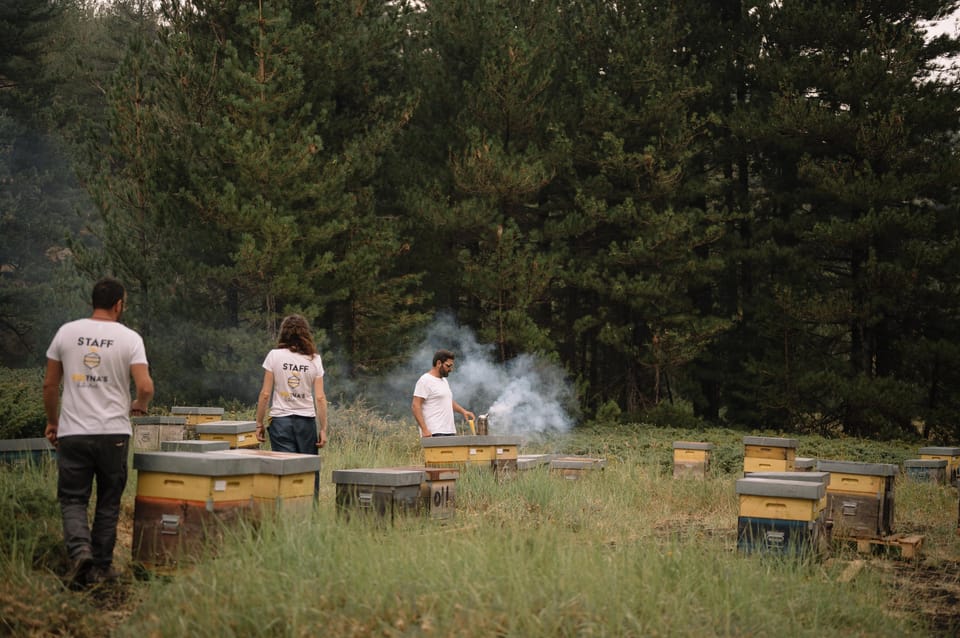 Etna: the Magic World of Bees Tour - Discovering the Fascinating Hive Life