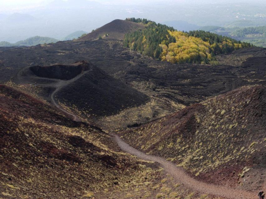 Etna Tour by Panoramic Bus - Pricing Information