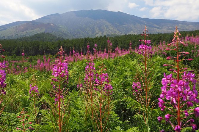 Etna Tour in 4x4 - Cancellation Policy