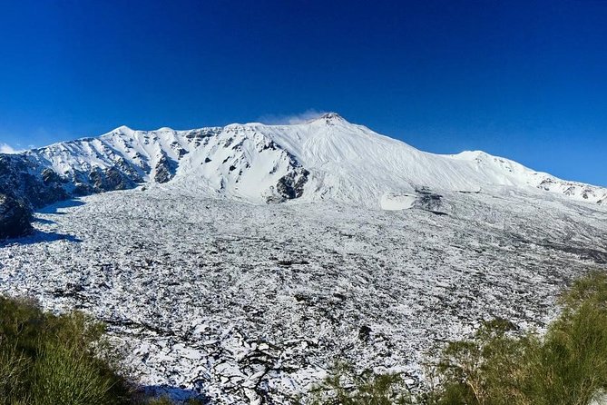 Etna Tour in 4x4 - Visitor Reviews