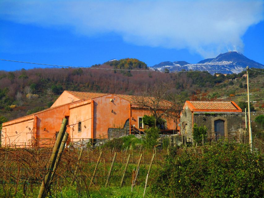 Etna: Tour in a Vintage Car With Cooking Class and Pickup - Local Honey Factory Visit