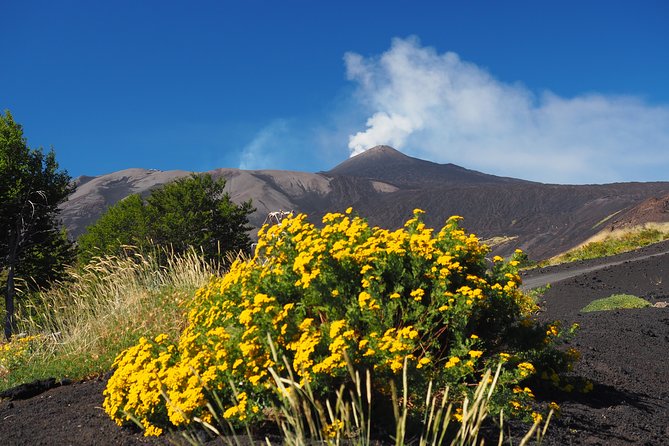 ETNA - Trekking to the Craters Eruption of 2002 - Appreciating the Volcanic Landscape