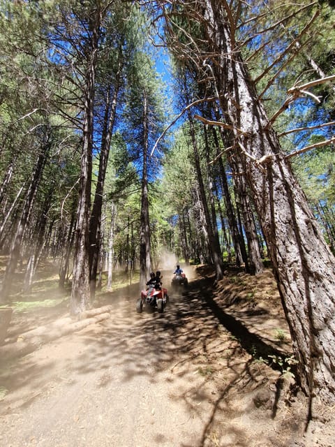 Etna volcano: Etna grand tour by quad bike with cave and lava flow visit - An In-Depth Look at the Etna Quad Bike Tour