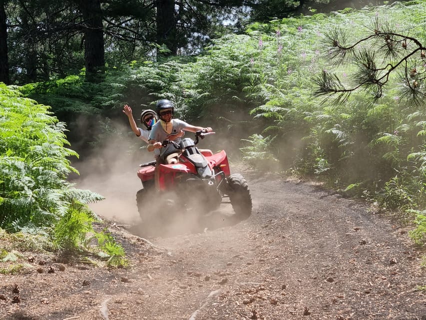 Etna volcano: Etna grand tour by quad bike with cave and lava flow visit - Who Will Love This Tour?