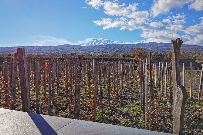 Etna Wine and Alcantara - Why Choose This Tour? A Deep Dive into the Experience