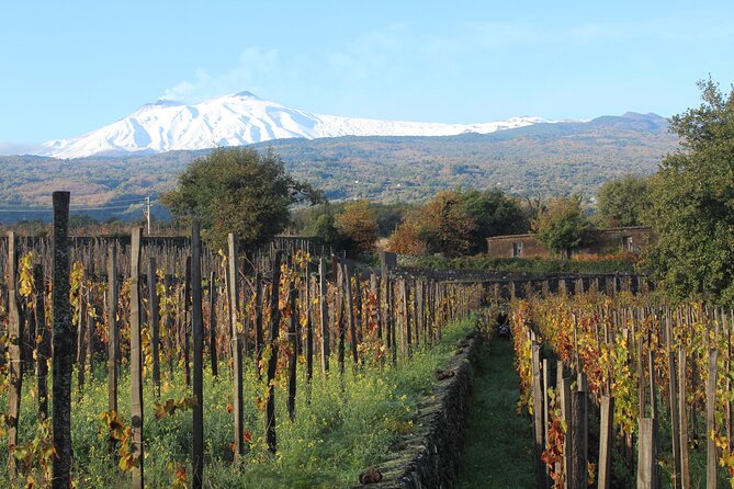 Etna Wineries Tour - Language Support and Guides