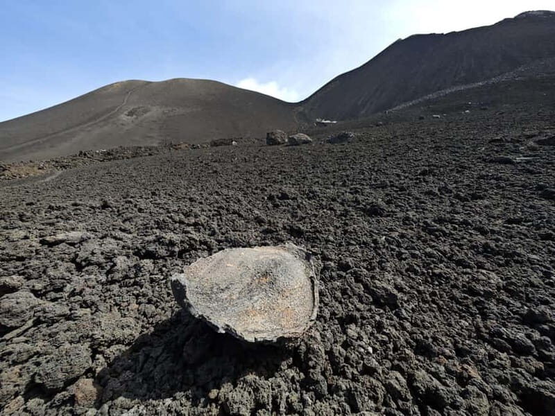 EtnaRunWalk: Hiking with GV on Europe's highest active volcano - The Logistics and Cost