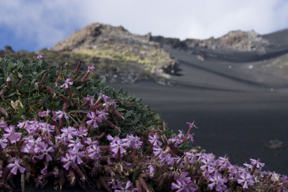 Etnas Hidden Gems - Trek Valle Bove & Lava Tunnel With Gear - Important Information