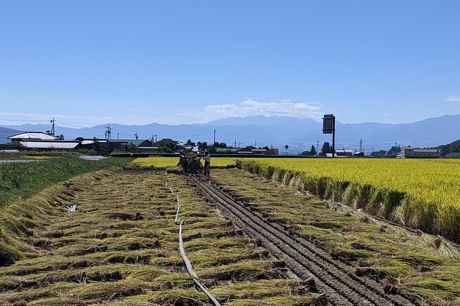 Etour De Matsumoto - Private Electric Bike Tour - Fitness and Medical Considerations