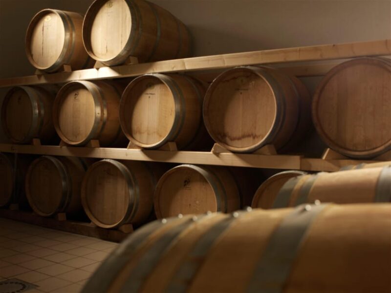 Euganean Hills: Tasting of the Most Significant Wines and Vineyard Tour - Exploring the Unique Euganean Terroir