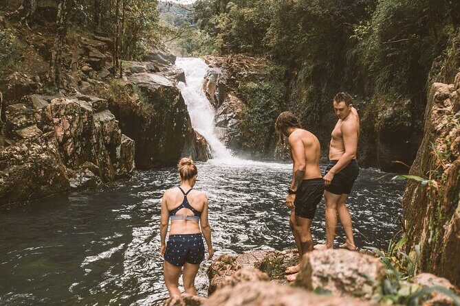 Eungella Platypus Tour - Exploring Finch Hatton Gorge and Eungella: What to Expect