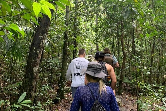 Eungella Platypus Tour - Who Should Consider This Tour?