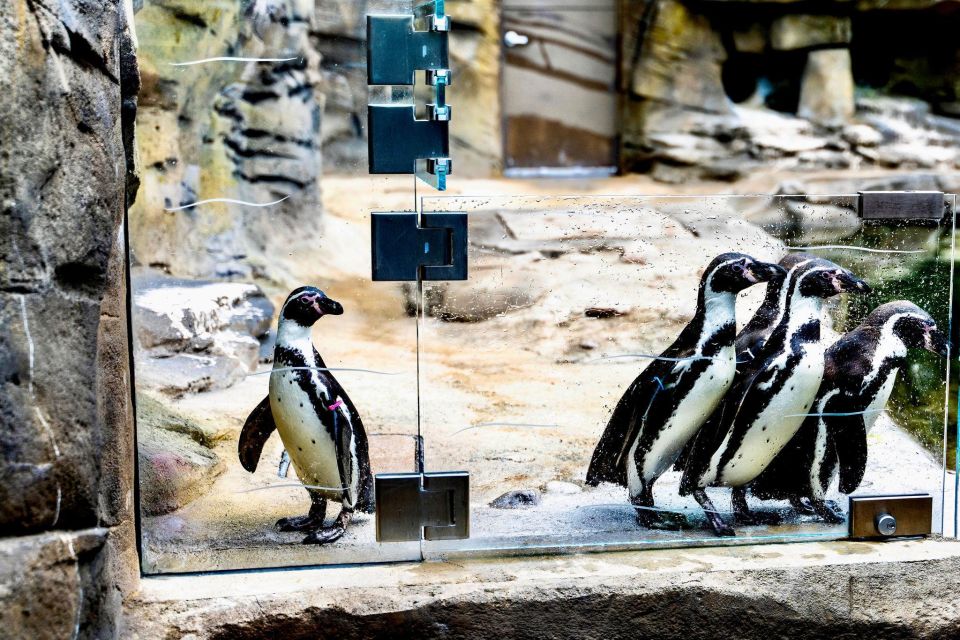 Evansville: Museum & Attraction Pass - Frequently Asked Questions